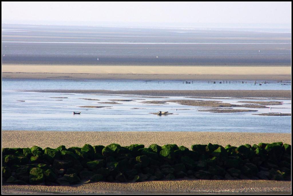 Logis Hotel & Restaurant "Au Gre Du Vent" Berck エクステリア 写真